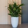 Pottery Pots Essential Ben ronde plantenbak middelhoog mat wit binnen